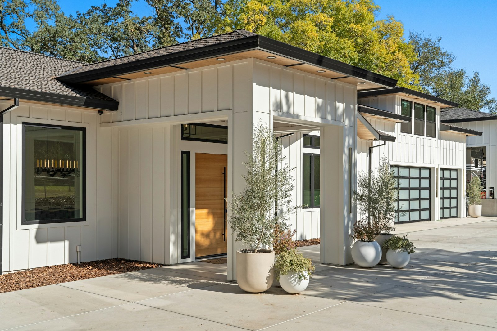 Contemporary residential architecture framed by natural surroundings
